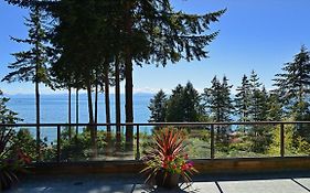 Sunshine Coast Treetop B&B