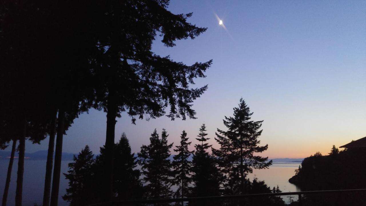 Sunshine Coast Treetop B&B Sechelt Exterior photo